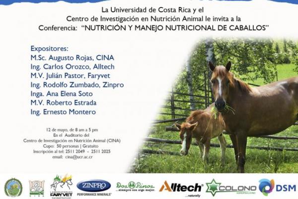 Conferencia: 